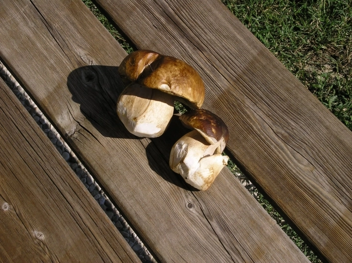 zobacz camping - zdjęcie 14