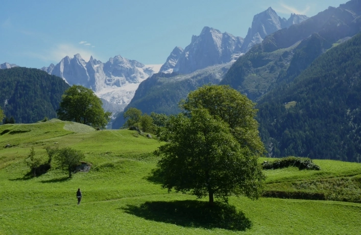 zobacz camping - zdjęcie 7