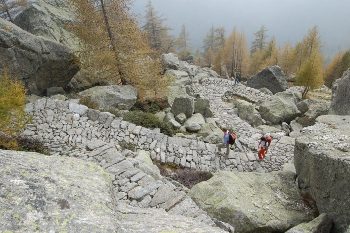 zobacz camping - zdjęcie 6