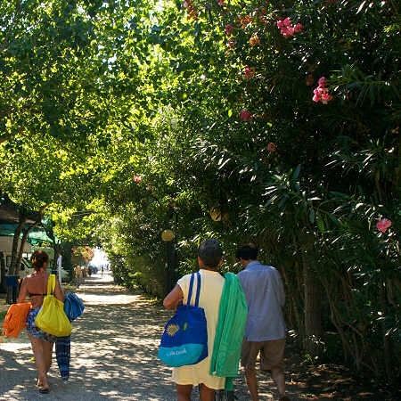 zobacz camping - zdjęcie 22