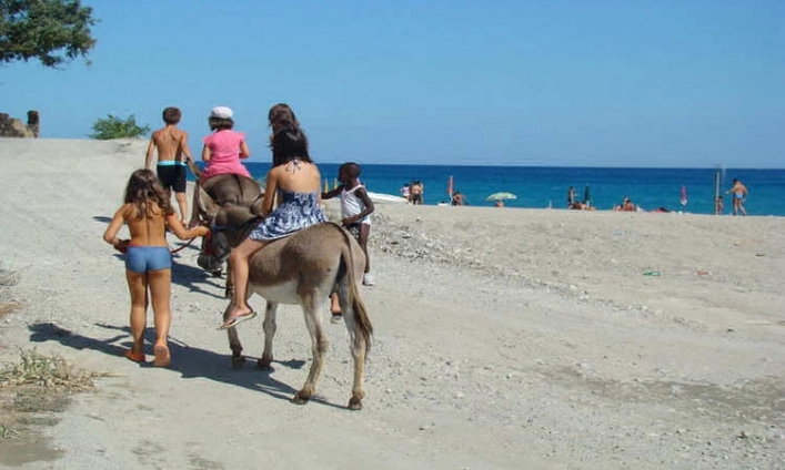 zobacz camping - zdjęcie 20