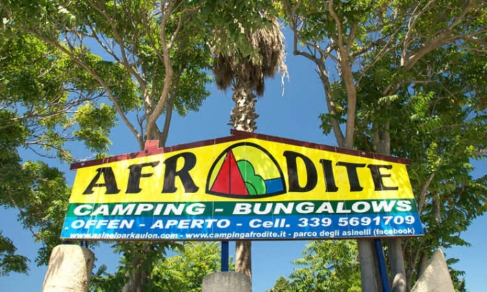 zobacz camping - zdjęcie 16