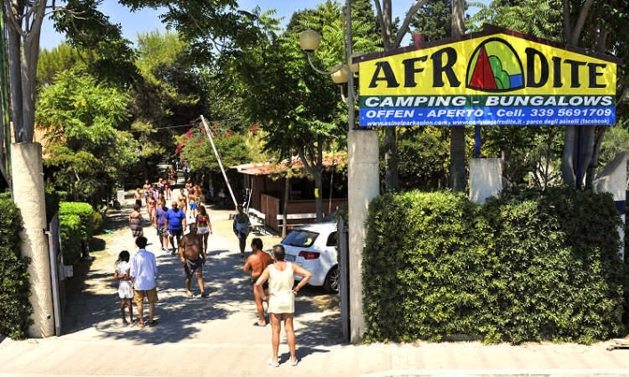 zobacz camping - zdjęcie 14