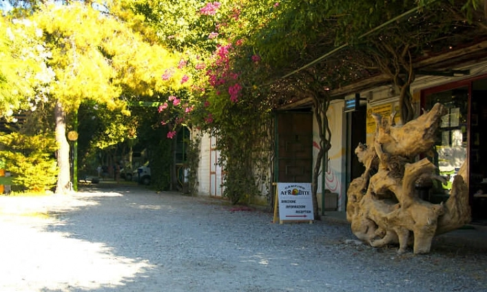 zobacz camping - zdjęcie 13