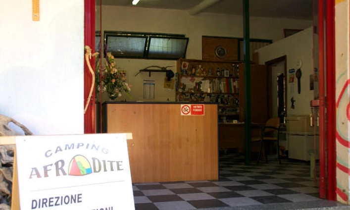 zobacz camping - zdjęcie 12