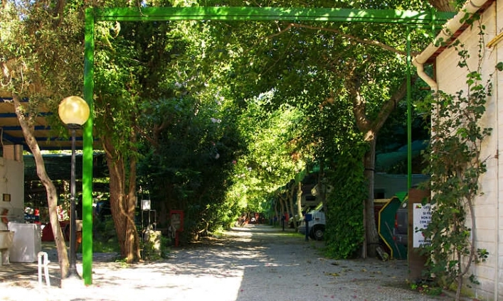 zobacz camping - zdjęcie 11