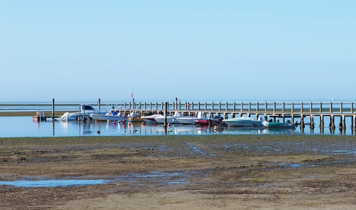 zobacz camping - zdjęcie 24