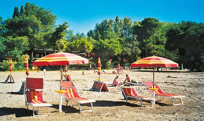 zobacz camping - zdjęcie 23