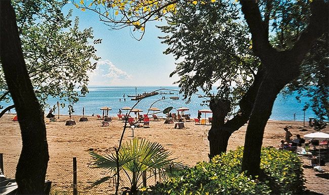 zobacz camping - zdjęcie 22