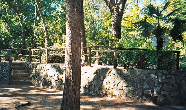 zobacz camping - zdjęcie 18