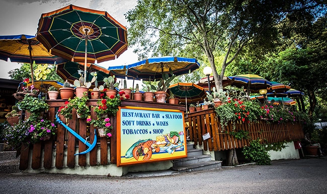 zobacz camping - zdjęcie 15