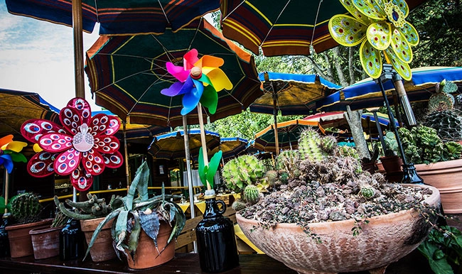 zobacz camping - zdjęcie 14