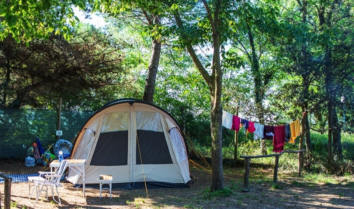 zobacz camping - zdjęcie 12