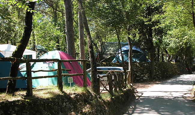 zobacz camping - zdjęcie 9
