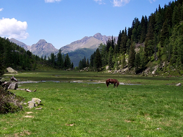 zobacz camping - zdjęcie 36