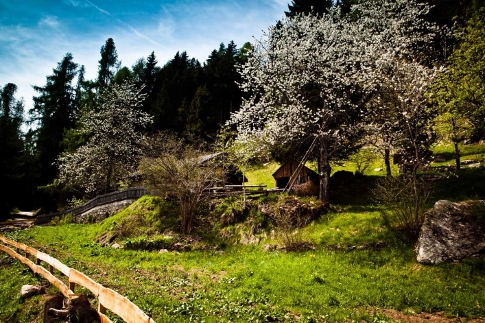 zobacz camping - zdjęcie 34