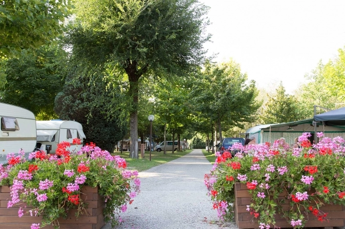 zobacz camping - zdjęcie 30