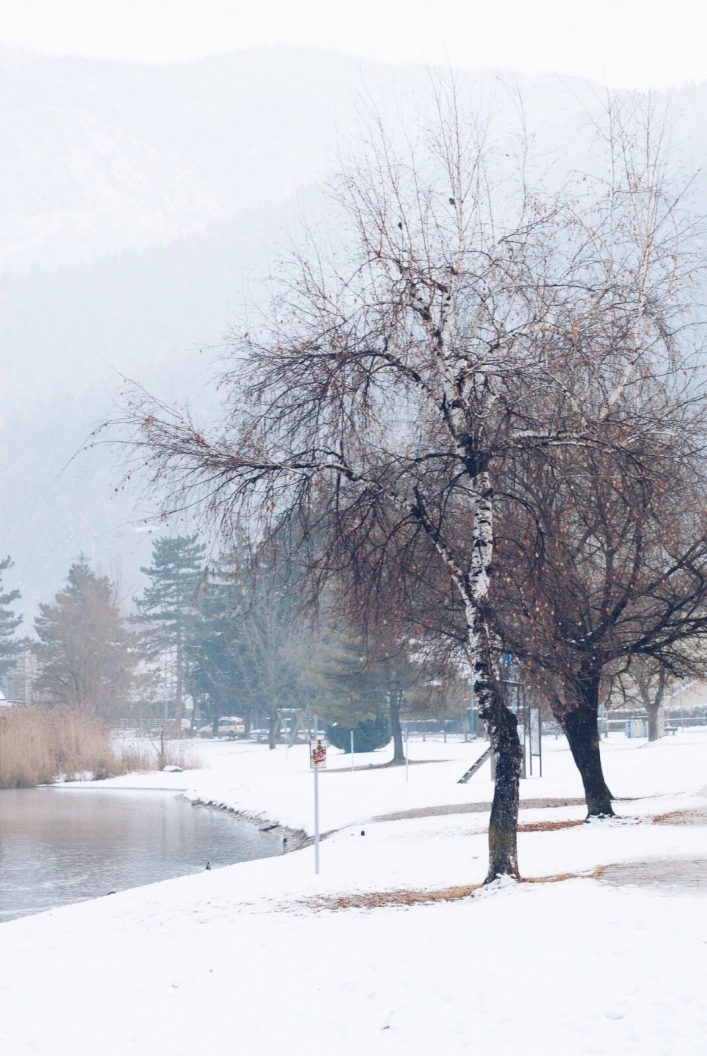 zobacz camping - zdjęcie 27