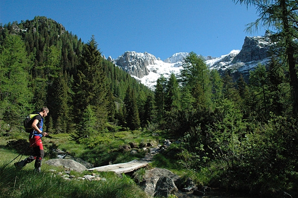 zobacz camping - zdjęcie 23