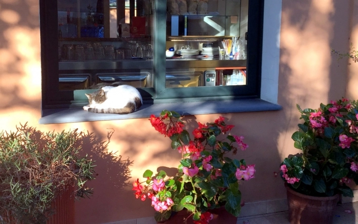 zobacz camping - zdjęcie 20