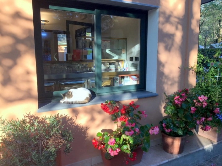 zobacz camping - zdjęcie 19