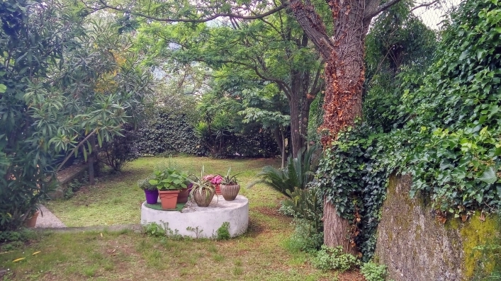 zobacz camping - zdjęcie 4