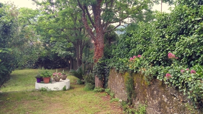 Campeggio Albero D`oro - zdjęcie 2