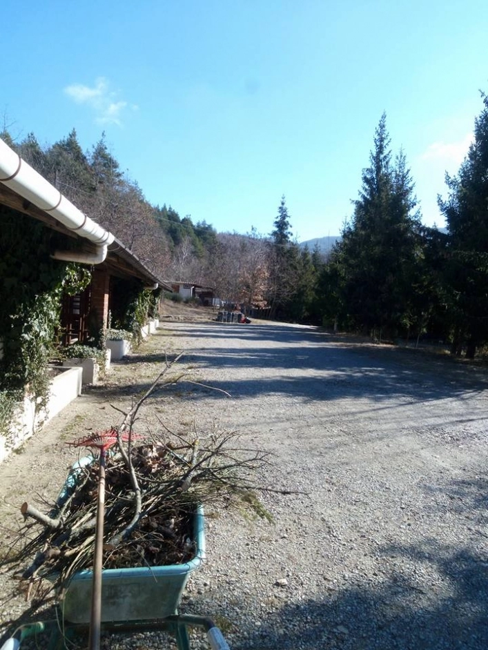 zobacz camping - zdjęcie 21