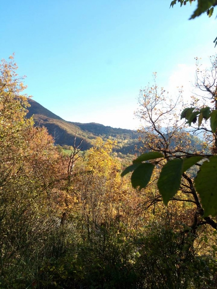 zobacz camping - zdjęcie 18