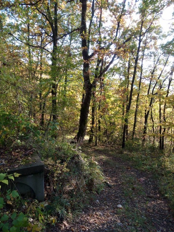 zobacz camping - zdjęcie 16