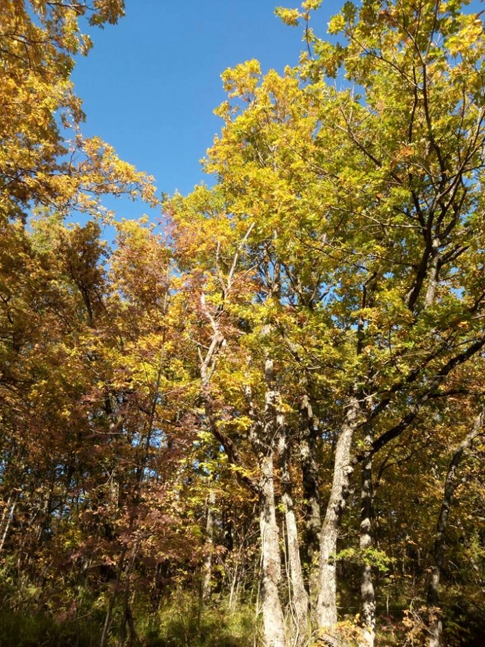 zobacz camping - zdjęcie 15