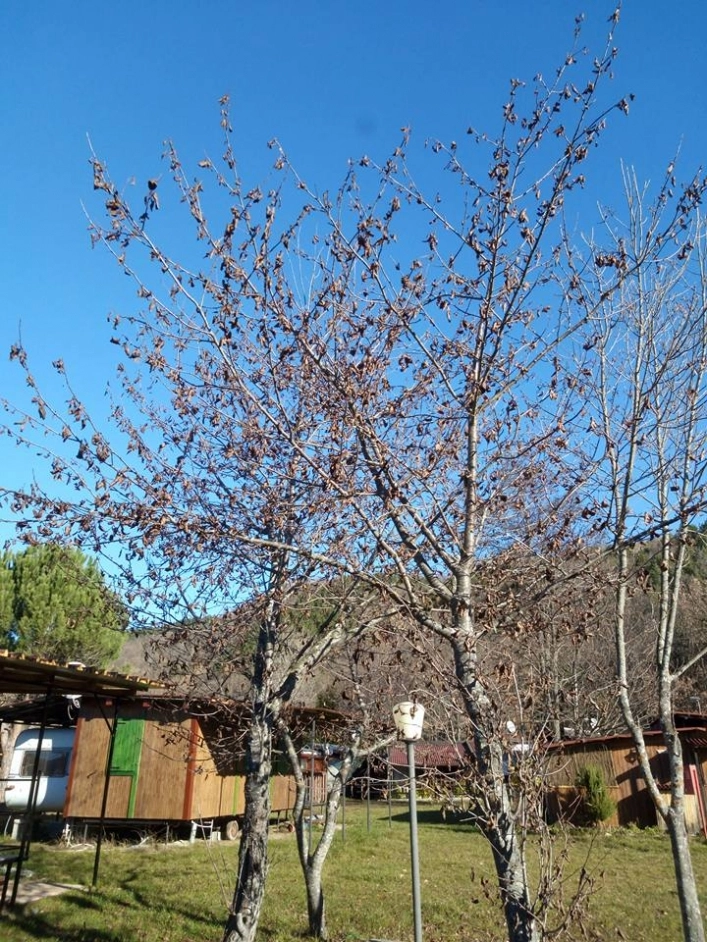 zobacz camping - zdjęcie 14