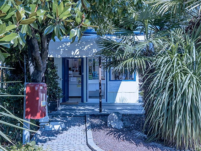 zobacz camping - zdjęcie 12