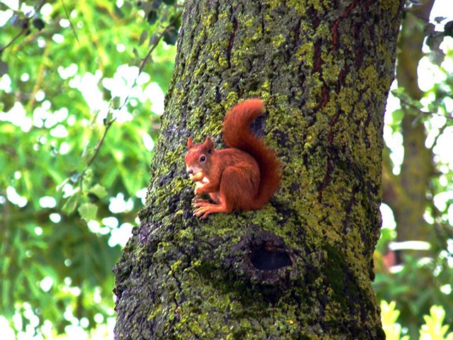 zobacz camping - zdjęcie 4