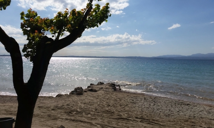 zobacz camping - zdjęcie 2