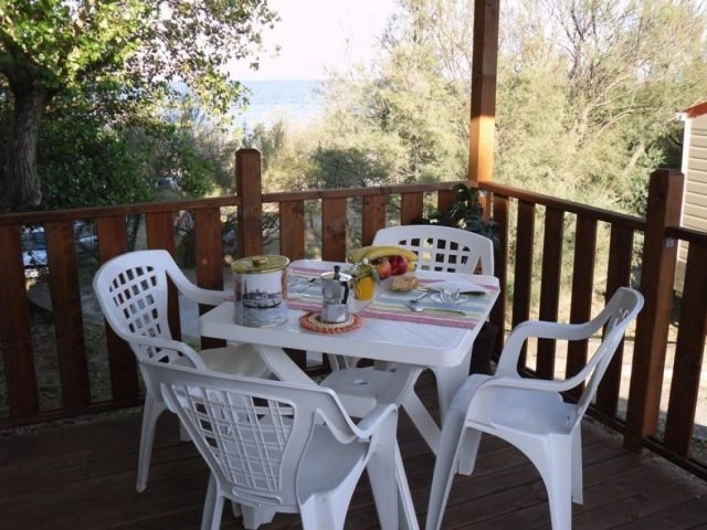 zobacz camping - zdjęcie 12