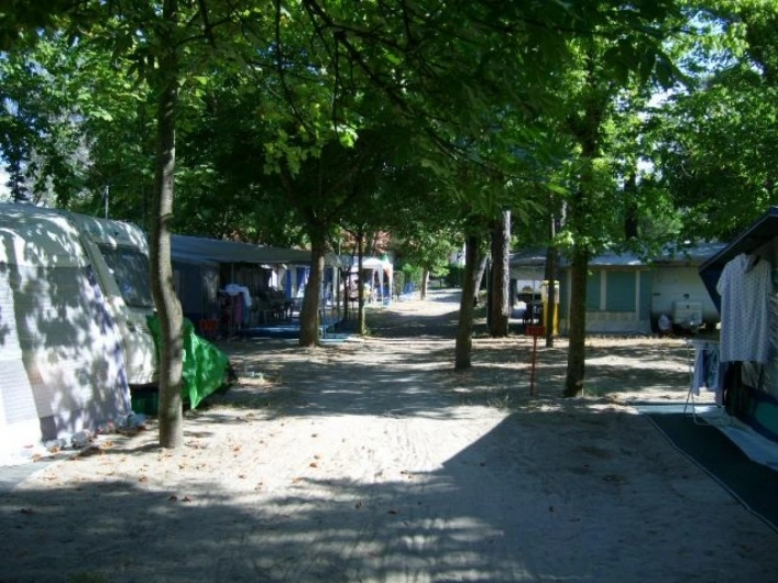 zobacz camping - zdjęcie 3