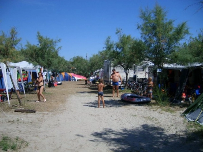 zobacz camping - zdjęcie 2
