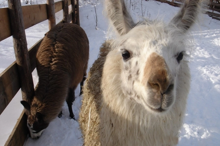 zobacz camping - zdjęcie 13