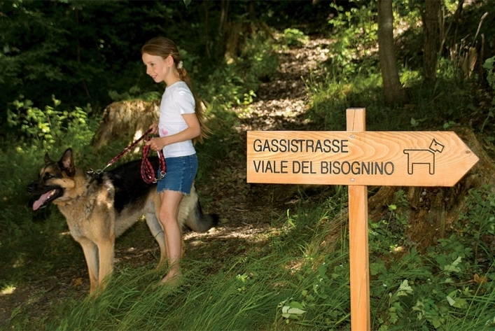 zobacz camping - zdjęcie 10