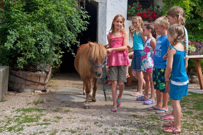 zobacz camping - zdjęcie 1