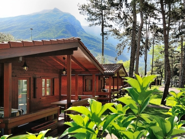 zobacz camping - zdjęcie 19