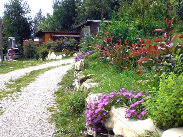 zobacz camping - zdjęcie 20