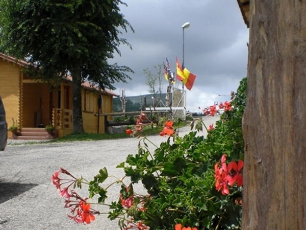 zobacz camping - zdjęcie 18