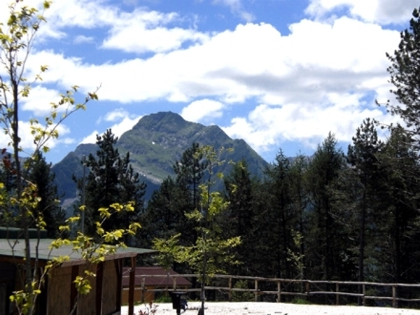 zobacz camping - zdjęcie 15