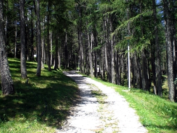 zobacz camping - zdjęcie 9