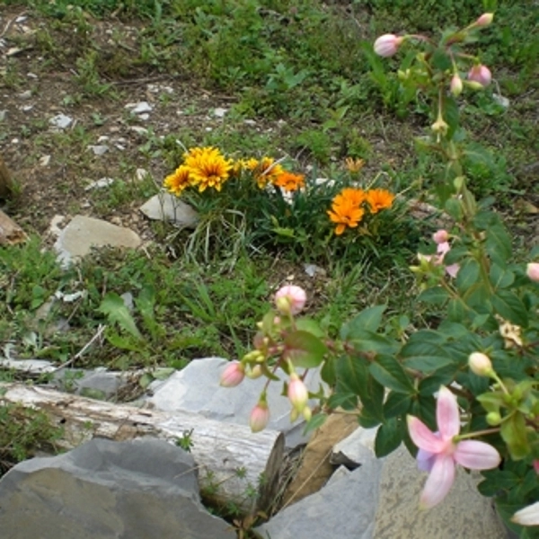 Campeggio Argegna - zdjęcie 1