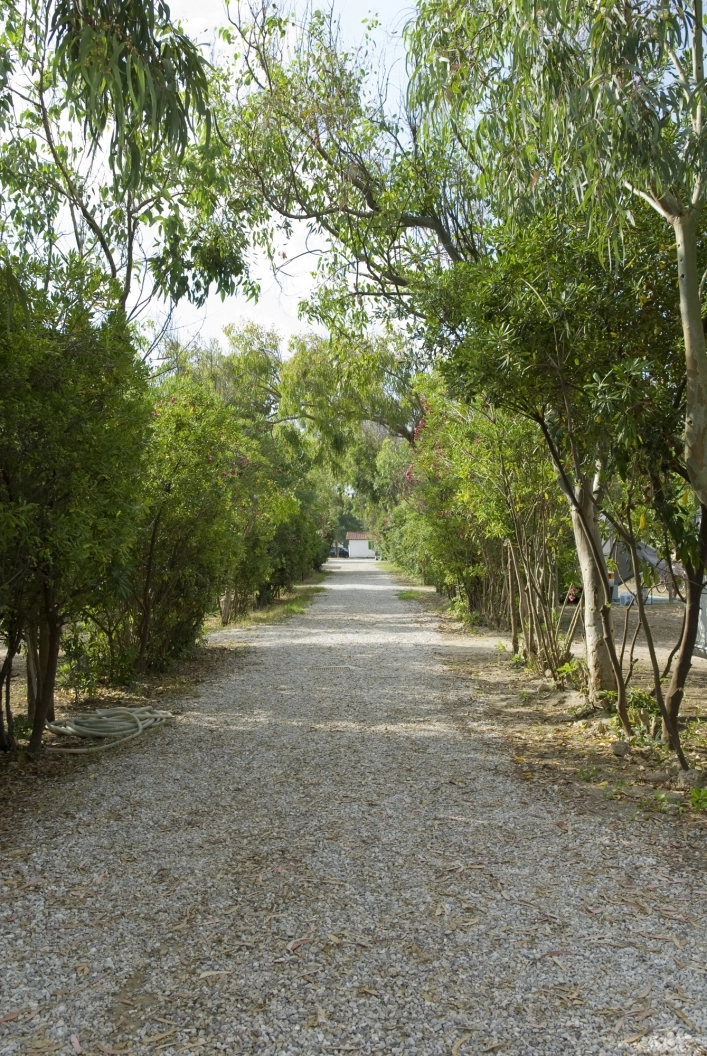 zobacz camping - zdjęcie 19