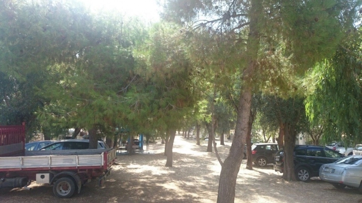 zobacz camping - zdjęcie 9