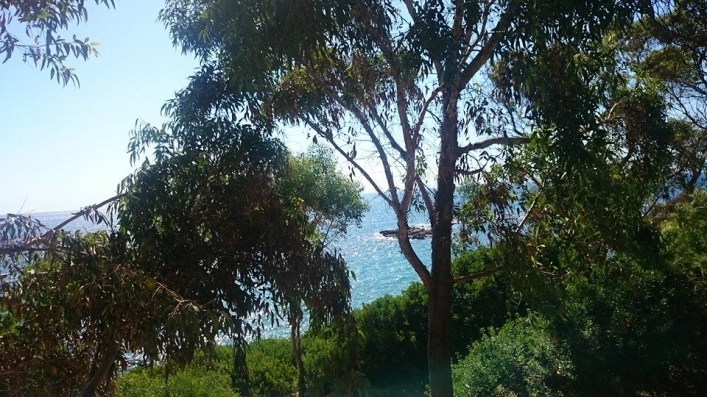 zobacz camping - zdjęcie 7